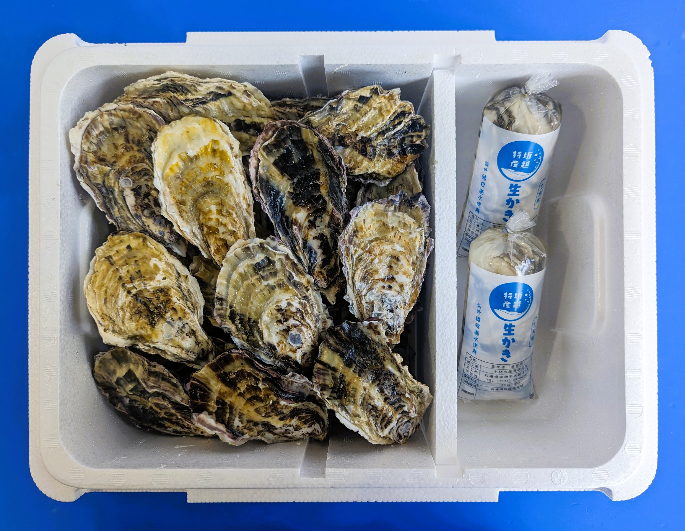 牡蠣さん専用 鮮魚通販［豊洲 Okawari鮮魚店］仙鳳趾産 殻付き牡蠣 生食用 中